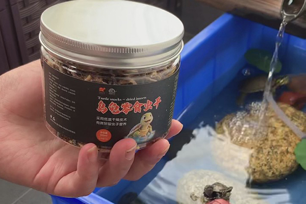 乌龟零食虫干