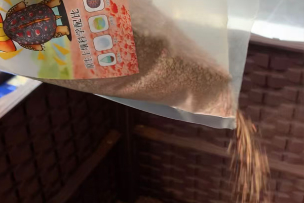 龟谷鳖老黄缘龟专用混合垫材