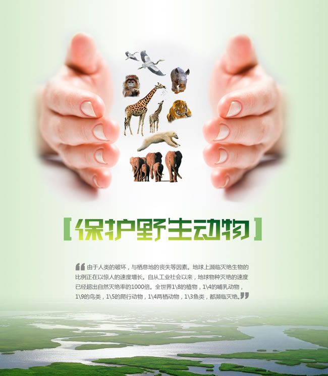 中华人民共和国野生动物保护法（2017.01.01生效）